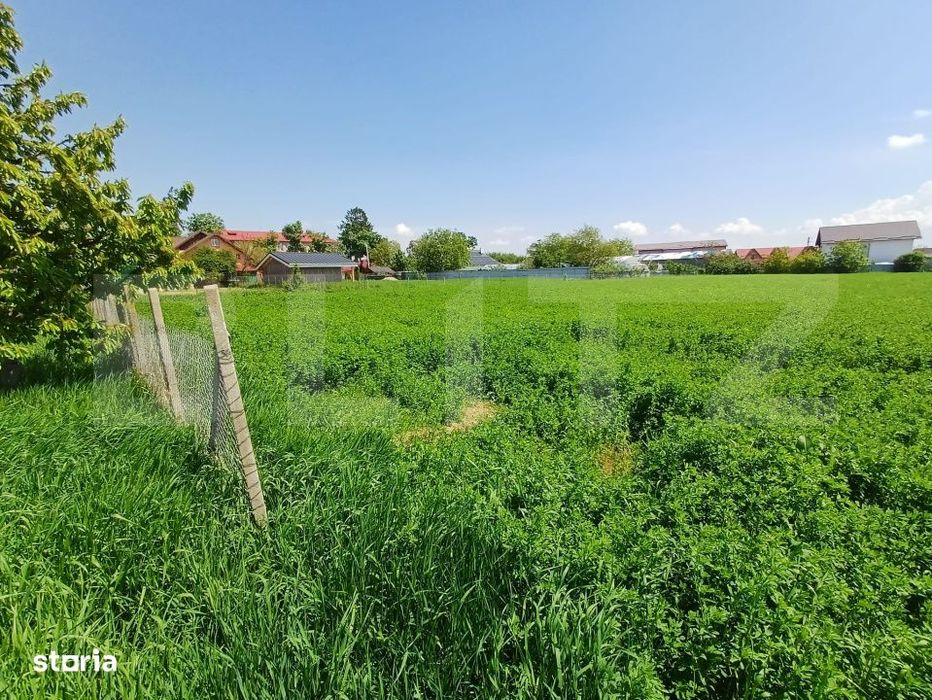 Teren de vanzare intravilan, 72 ari, zona Salcea