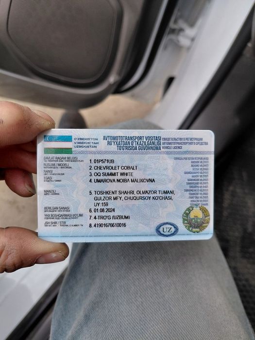 Cobalt 2024 arendaga