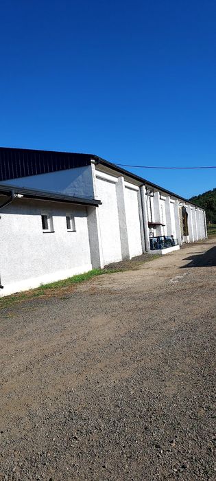 Vand Livada Cătina Arad