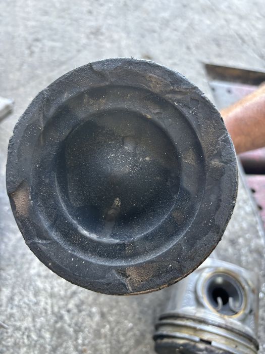 Pistoane biele motor MAN TGX TGS TGA 480 540 d26