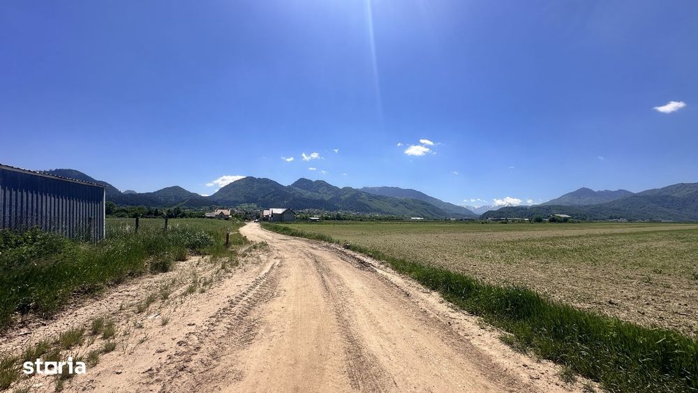 Loturi de grădină 400 mp - Săcele
