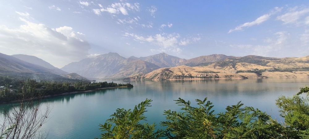 Дача.Dacha.Dacha Burchmullo, Дача Бричмулла без посредников