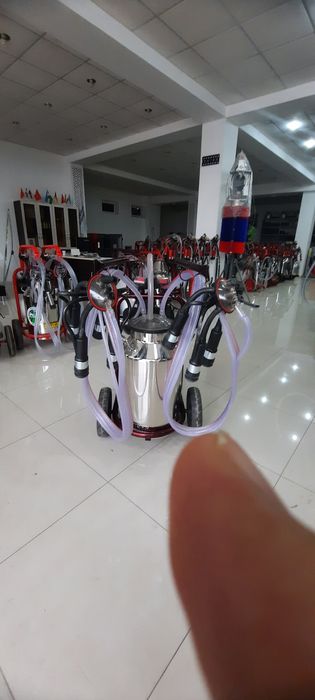 Соғиш аппарати. Доильный аппарат