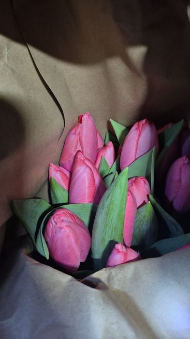 ТЮЛЬПАНЫ По оптовым ценам