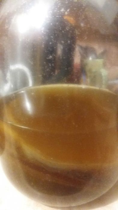 Чайный гриб полезный