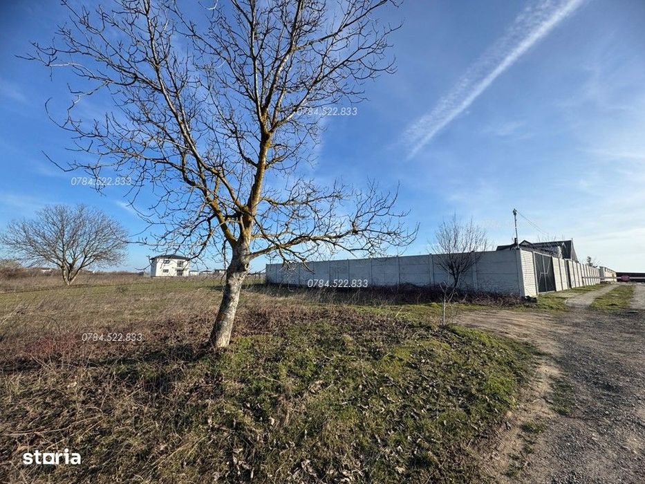 Teren construibil in zona de lacuri din comuna Berceni IF