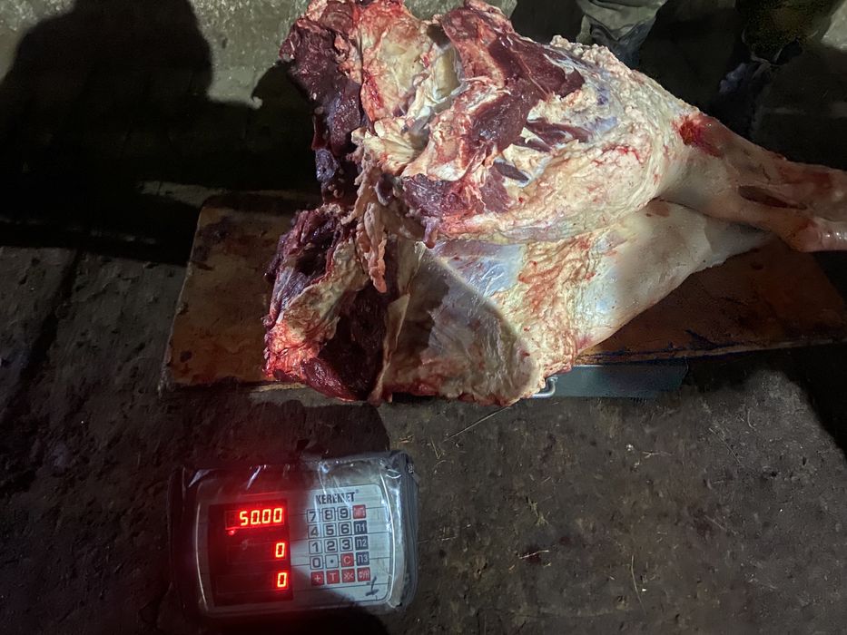 Мясо говядина. Сиыр еті. Ет