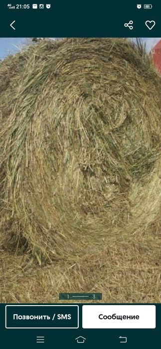 Продаю сено первый кос