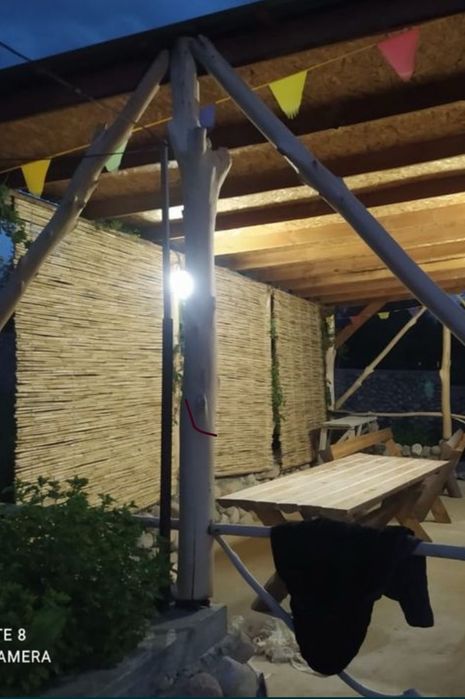 Декоративный камыш