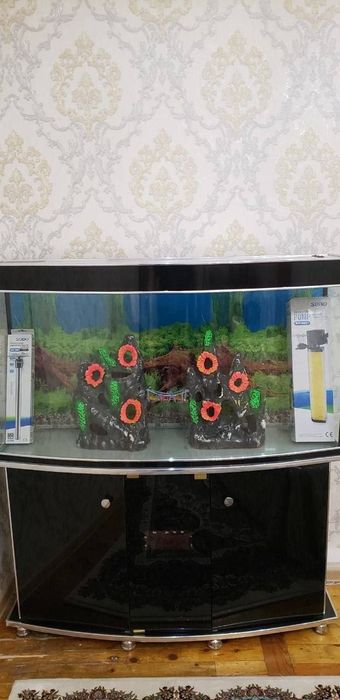Аквариум сотилади,заказгахам килинади