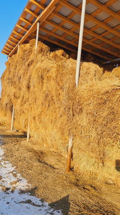 Vând Baloți / Fân