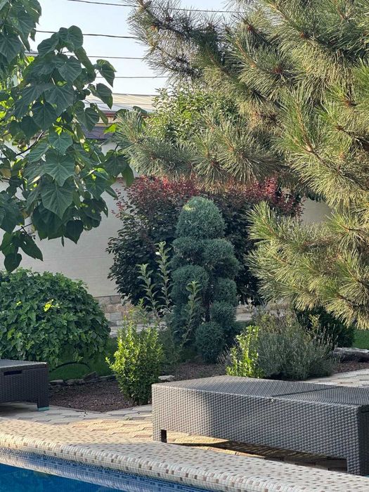 Продается участок под строительство - 5 соток в махалле Амира Тимура