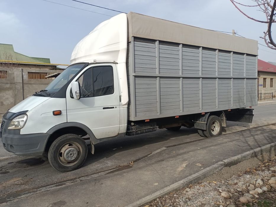Газель жук тасымалдау