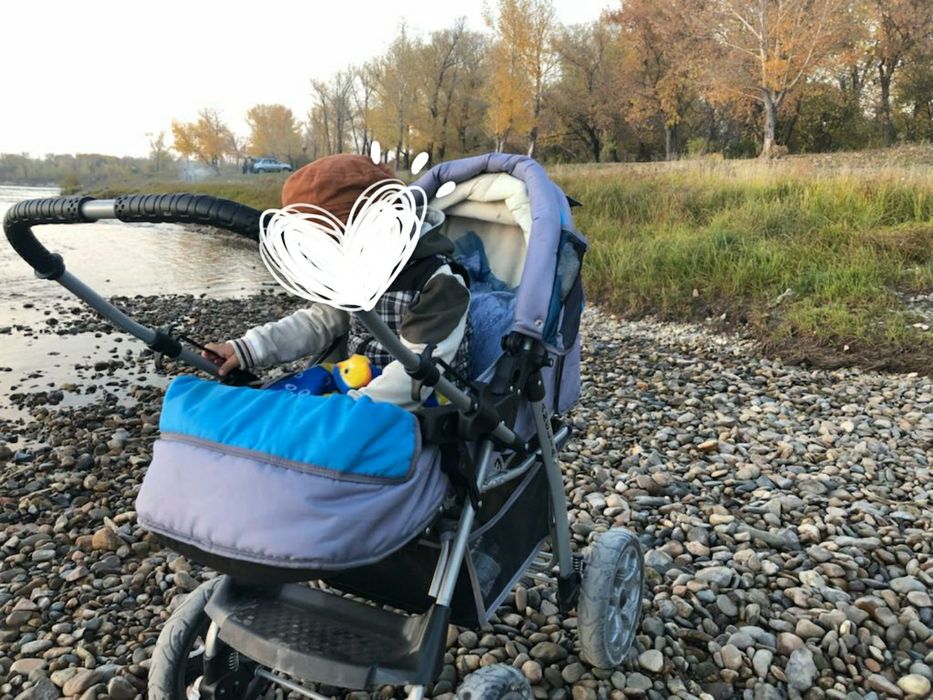 Коляска трансформер Smile Line ALF I