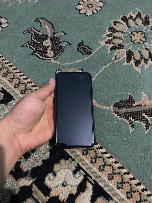 Алишер алимбеков