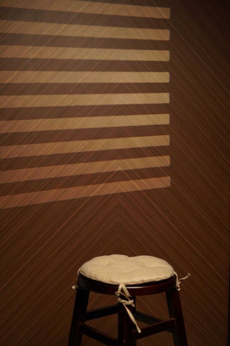 Podcast studio | Reels studio | Video syomka Samarqand