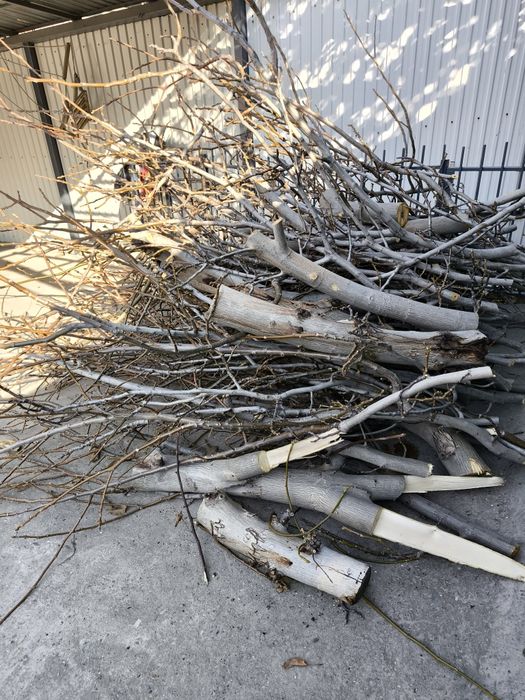 Ветки, ствол, орех на дрова