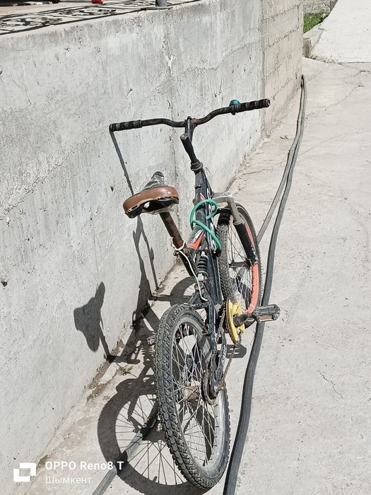 Велик спартивний