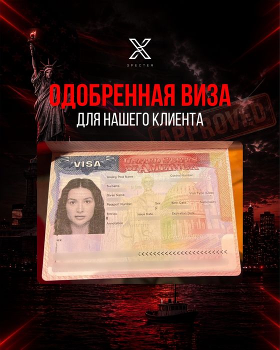 Виза США В1 В2 , F1