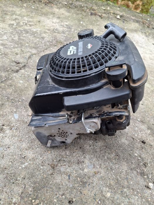Двигател Briggs  Stratton, Бригс Страйшън