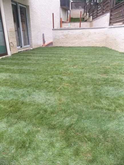 Gazon Rulou de Fermă – Rezultate Vizibile Imediat