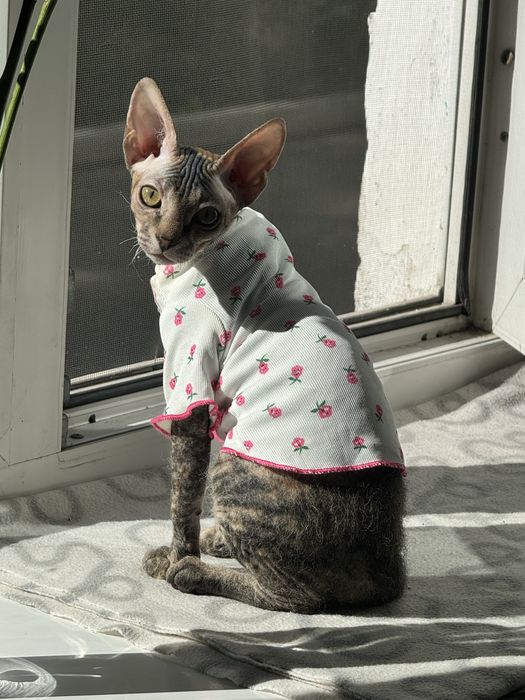 продам вещи для животных