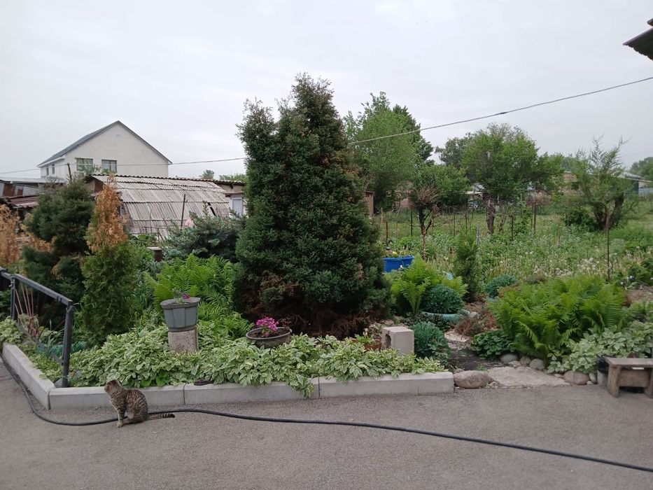 продам дом на 10 сотках