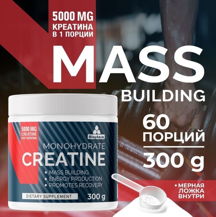 спортивное питание, креатин, гейнер, протеин