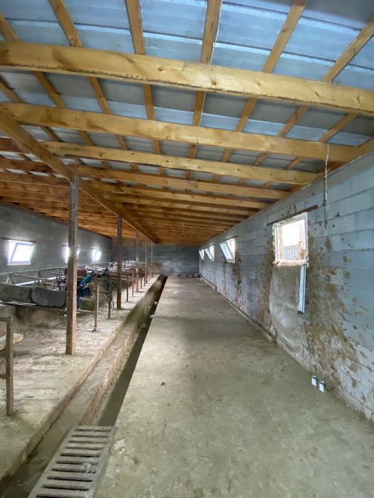 Продается фазенда