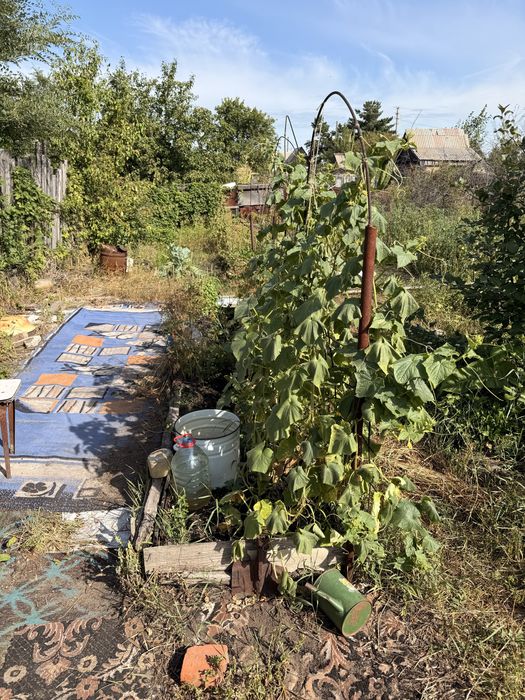 Продам дачу на 17 маршруте , 6 общество