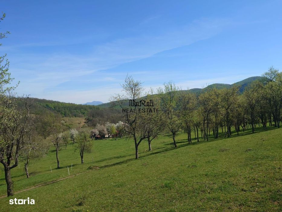 Teren intravilan si extravilan Luncoiu de Jos