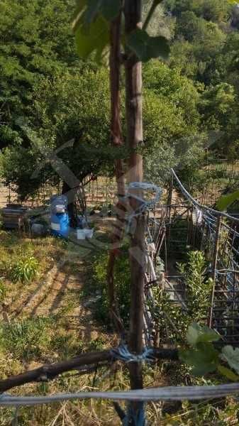 Продава се Къща в с. Мраченик, Област Пловдив - 82 кв.м за 500 €/кв.м - Снимка #4