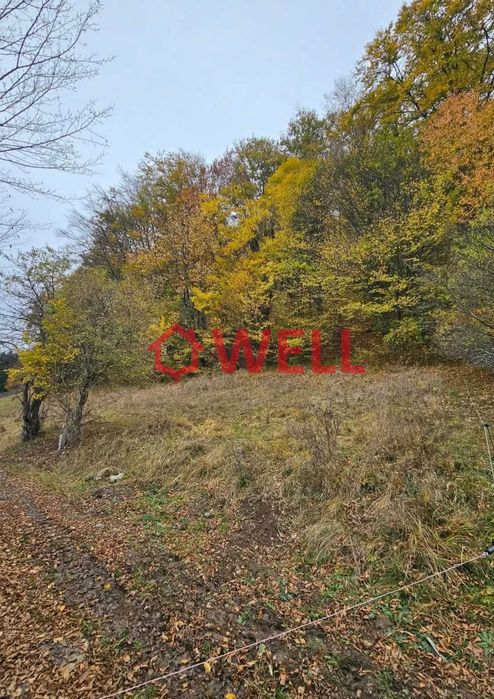 De vânzare două terenuri, situate în Câmpu Cetății