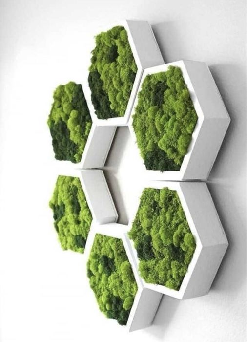Decoratiuni cu muschi, licheni si plante stabilizate / Pereti verzi