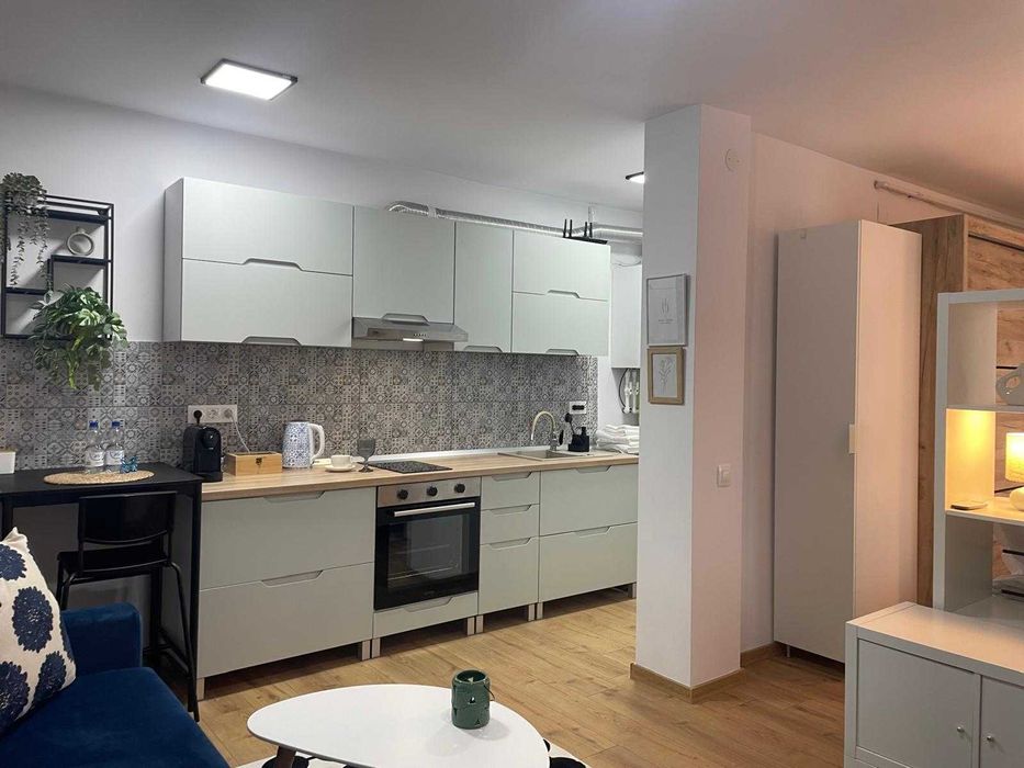Apartament cu 1 camera nedecomandat (complet renovat) Inchiriere