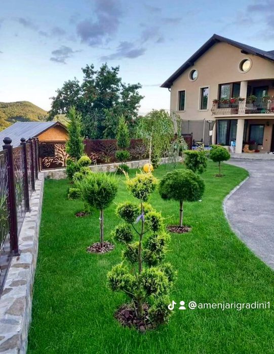 Amenajări grădini cu plante ornamentale