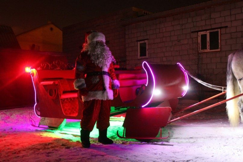 Дед мороз на дом шок цена