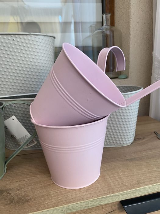 Саксии всичко за 15€