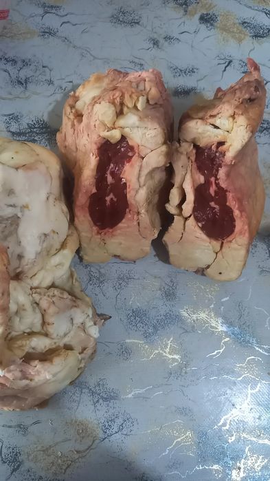 Продам жир говяжий