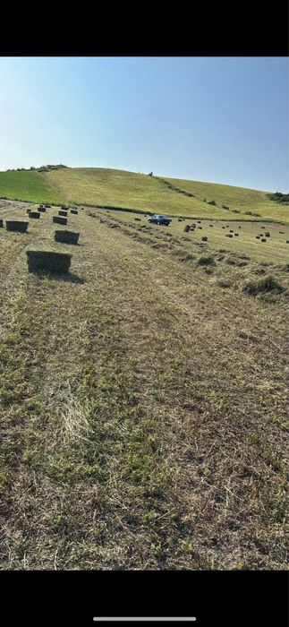 Vand baloti de lucerna si fan