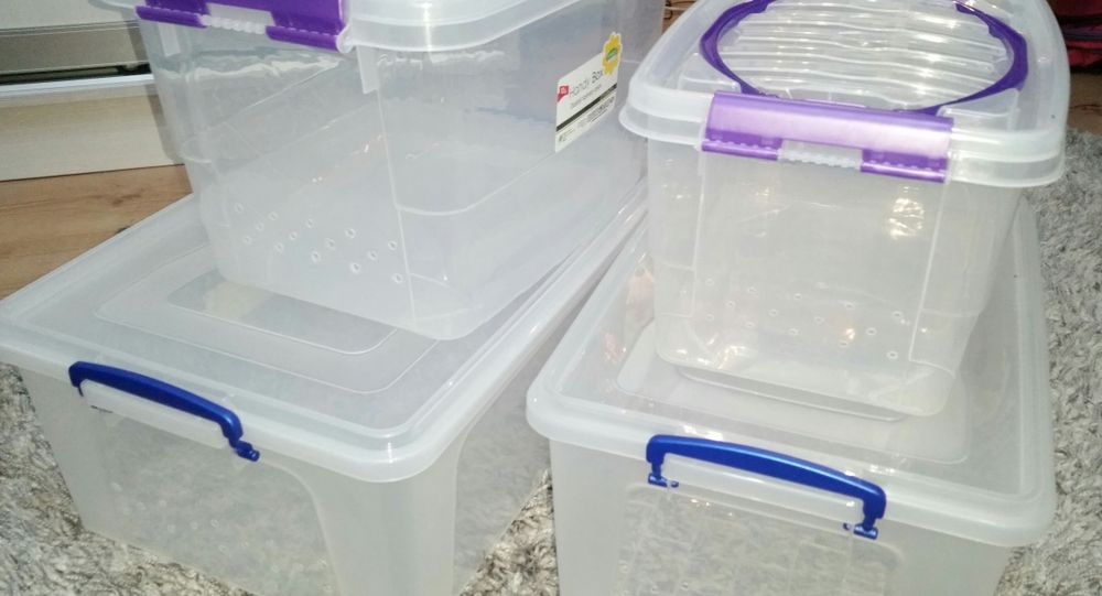 Контейнер для улиток ахатин