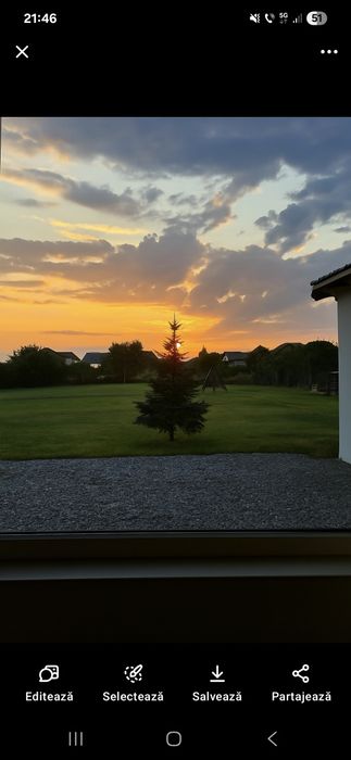 Casa cu 10 ari de teren pe Aleea Dumbravii la asfalt!
