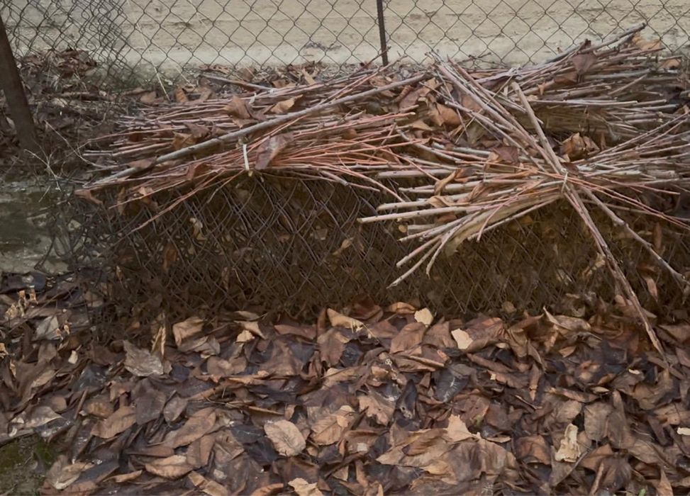 Рабица сетка 2 рулон