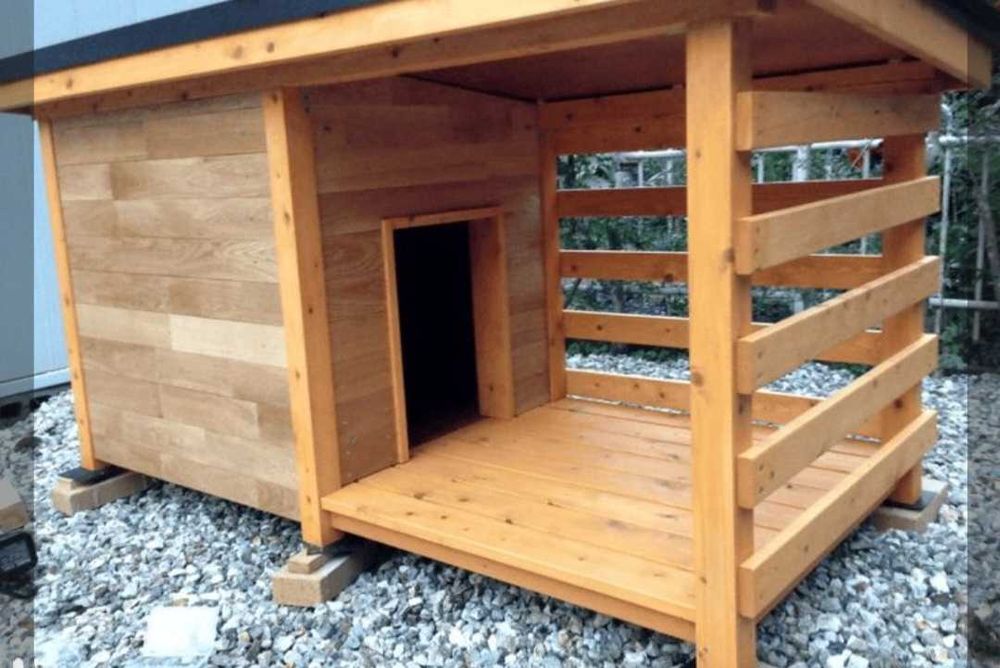 Vând căsuțe pentru Căței