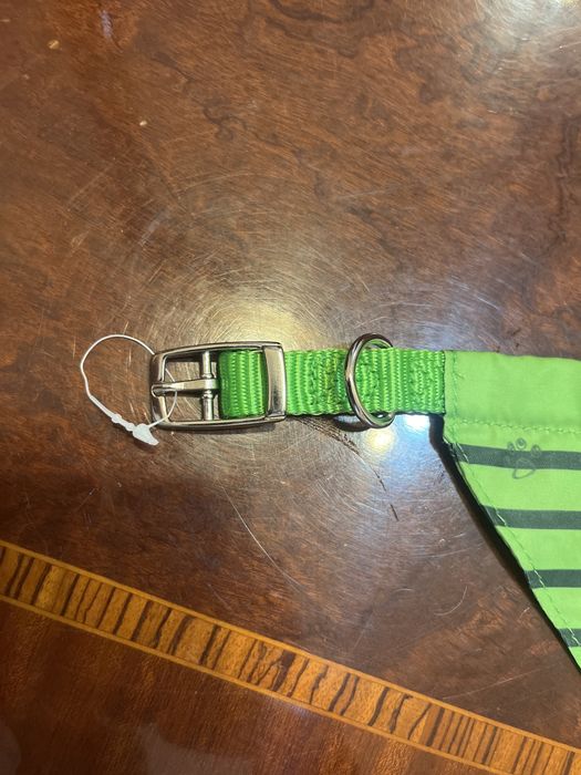 Ошейник, на ремешке