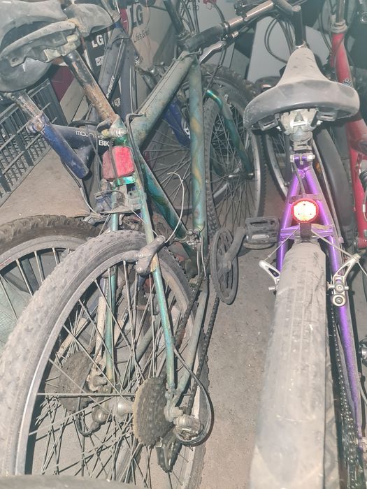 Diverse modele de biciclete