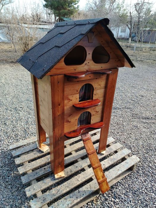 Двухэтажный Котодом.