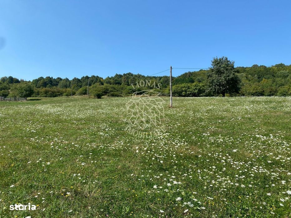 Teren 11.000 mp-ideal cabana/ferma-Unirea-Valea Slatinitei