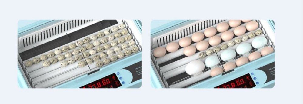 Inkubator avtamat ishlatilinishi zo'r