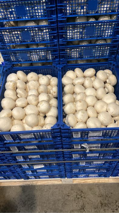 Доставка овощей и фрукты